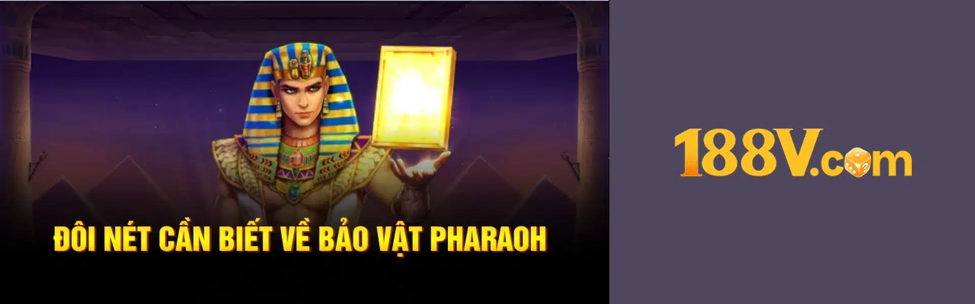 banner 188v 1