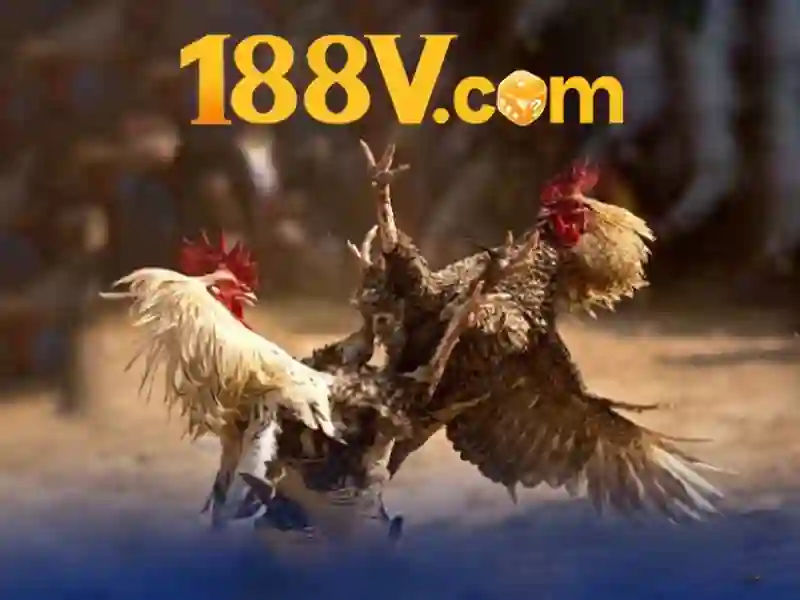 https://a70sthingautomobilia.com/images/text/188v/188v-text1086.webp