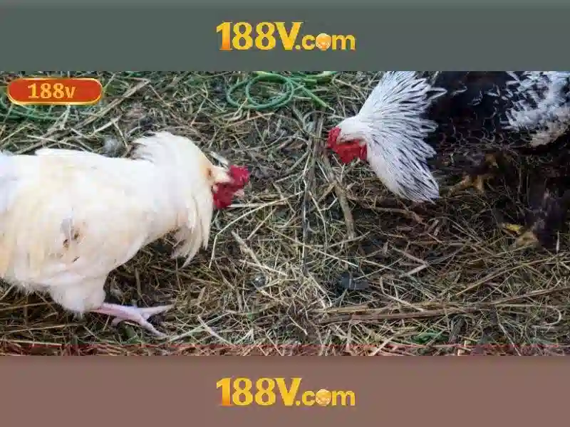 188V: Điện áp, an toàn và ứng dụng