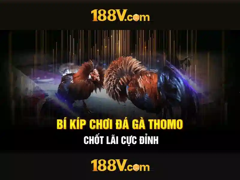 188v: một hành trình qua thời gian và ký ức