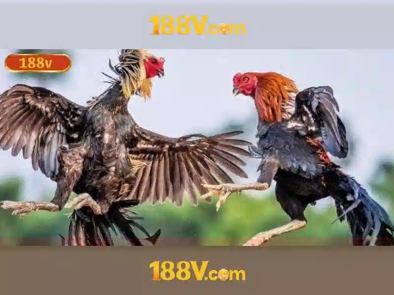 https://a70sthingautomobilia.com/images/text/188v/188v-text260312497.webp