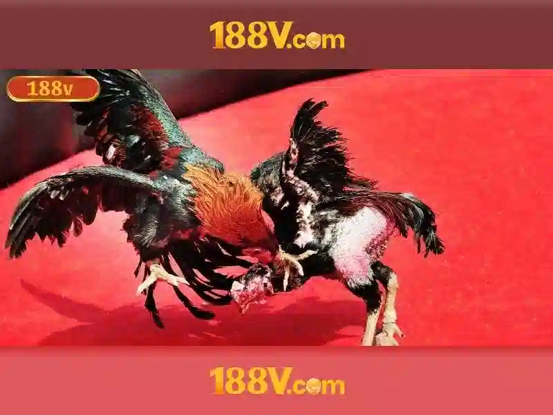 https://a70sthingautomobilia.com/images/text/188v/188v-text26031256.webp