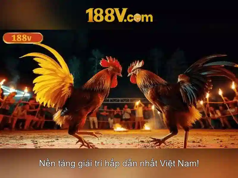 Nguon tham khảo