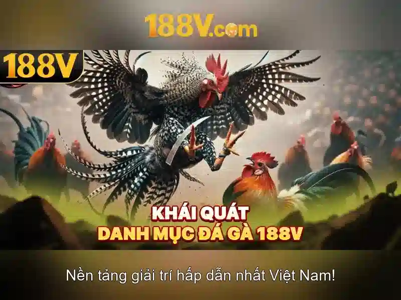 Khái niệm 188V và những điều cần biết