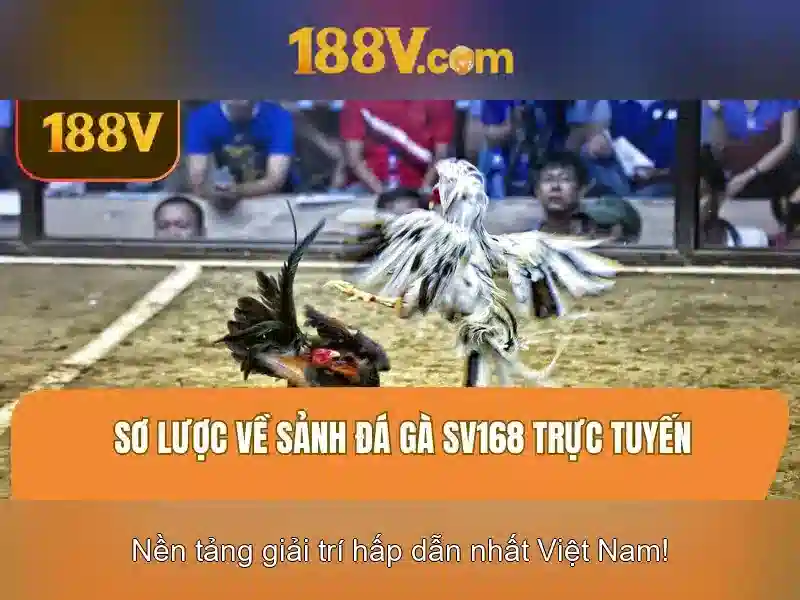 bao_mat_tai_khoan