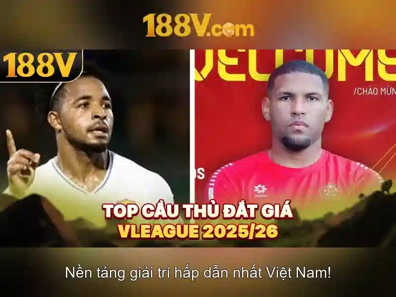 Khái quát về 188v trong văn cảnh hiện đại