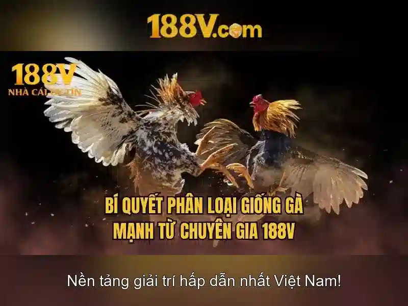 188v: một khái niệm công nghệ đột phá