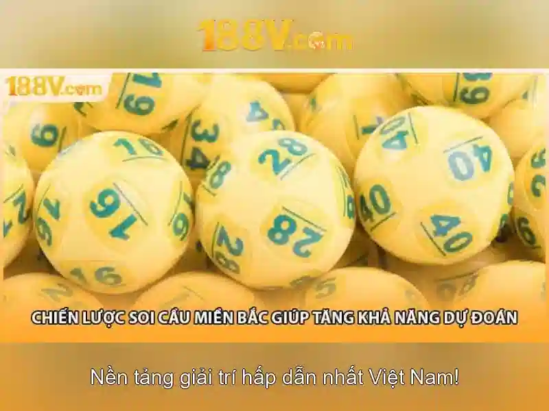 Bonus_terms